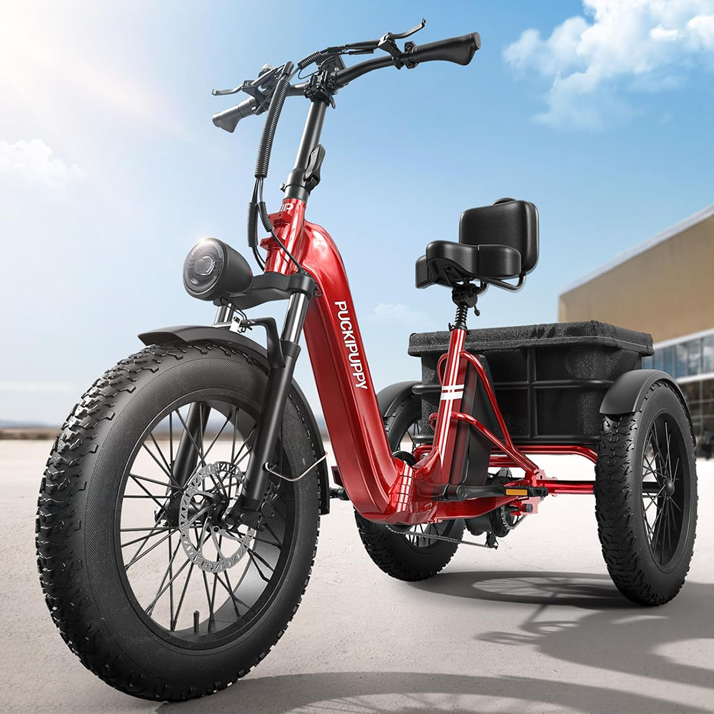 Electric Fat Trike 48V 1000W snowmobile Electric three-wheeled fat ebike 20-24inch